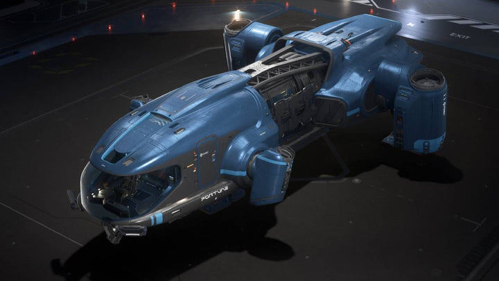 Buy Fortune - Hightide Paint For Star Citizen