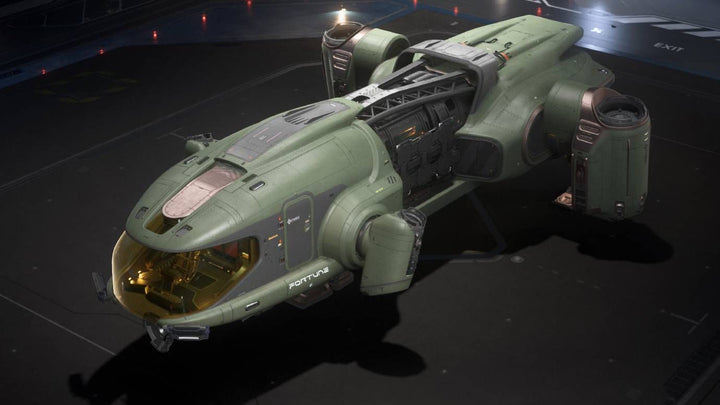Buy Fortune - Highlander Paint For Star Citizen