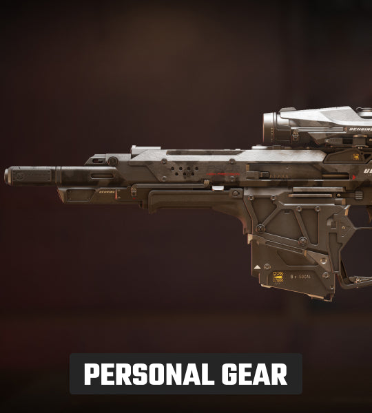 Star Citizen Behring P6-LR 