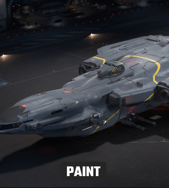 Buy the Starlancer Atlantic Paint from The Impound