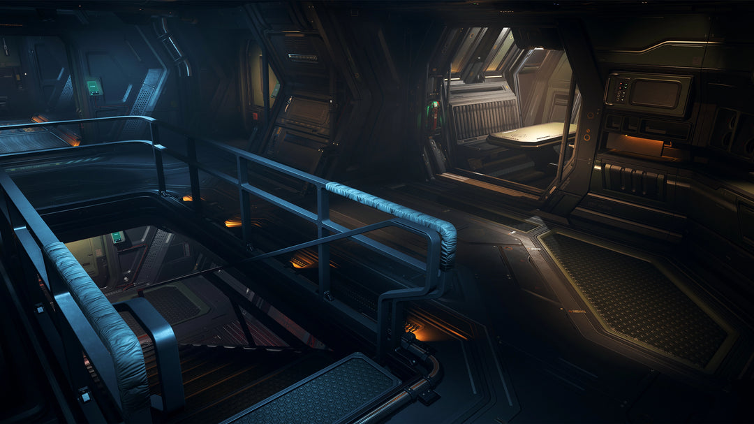 Buy Paladin with LTI for Star Citizen