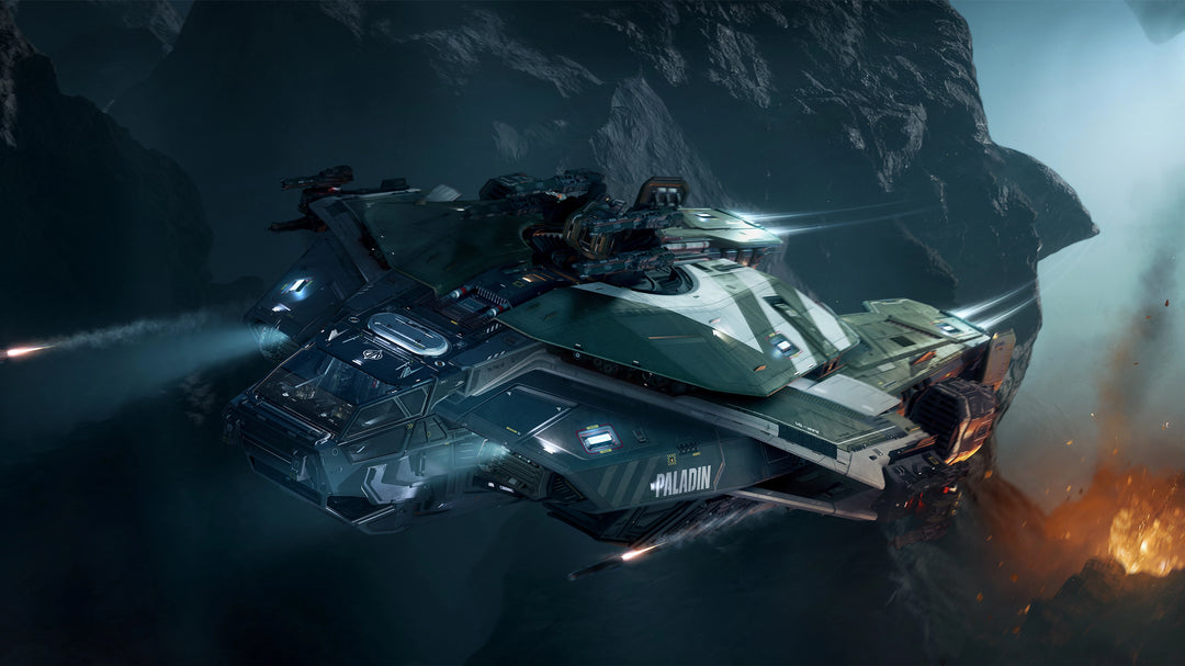 Buy Paladin with LTI for Star Citizen