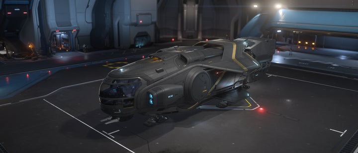 For the long-haul cargo captains who prefer to make a subtle statement when it comes to their freighter, MISC offers the distinguished Hull A Dusk paint scheme. A complete grey hull highlights the ship’s classic silhouette with tasteful gold trim.