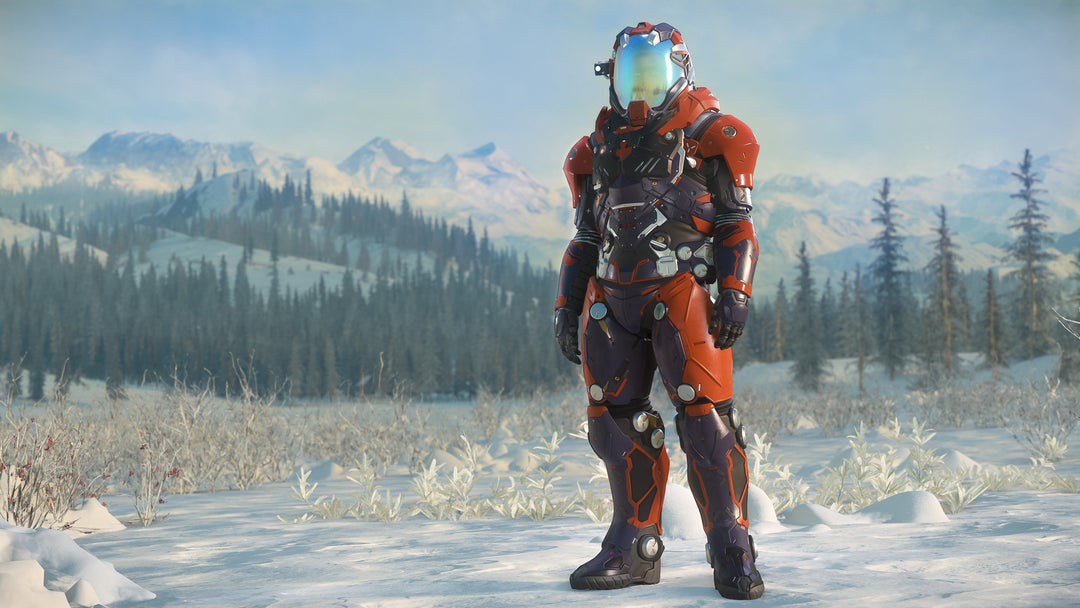CitizenCon Goodies Pack is an exclusive and rare bundle of items that was available for purchase during 2019 CitizenCon. It includes following items:
