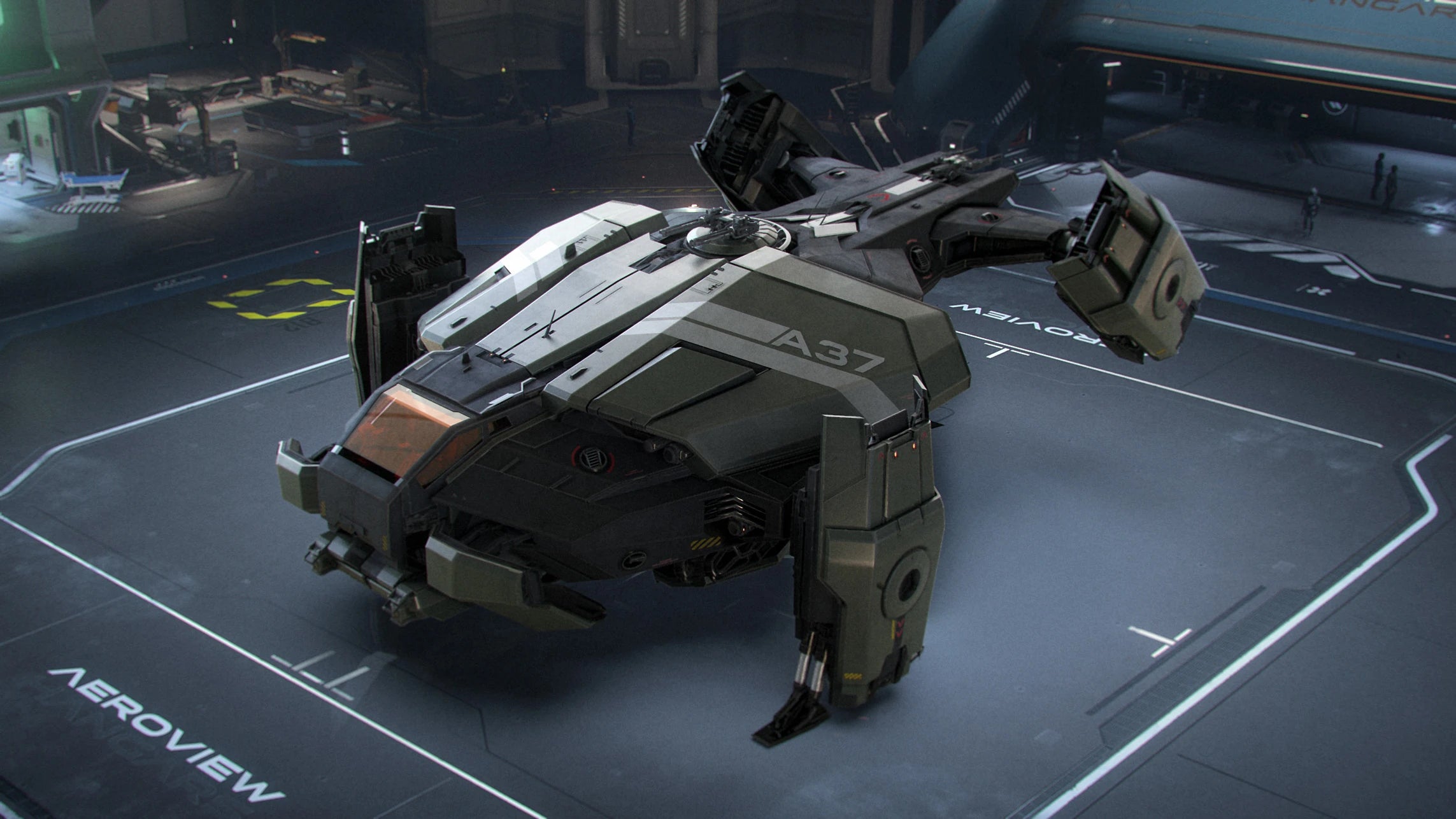 Legionnaire landed in a hangar