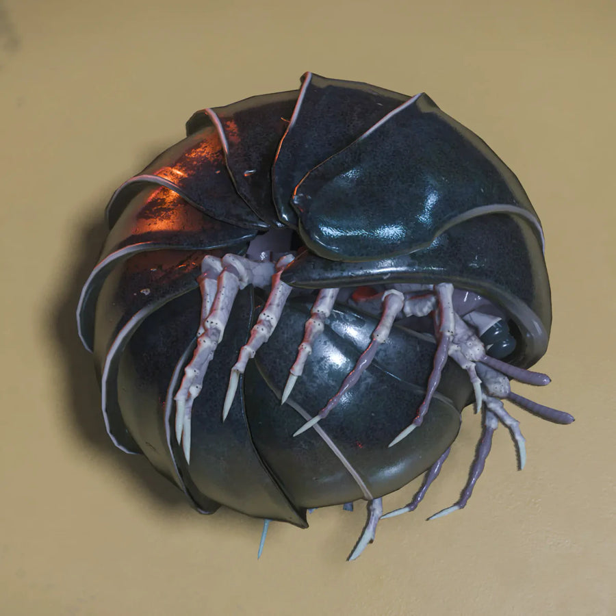 Stone bug
