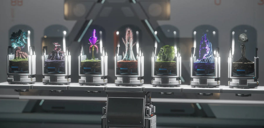 Plant Shelf