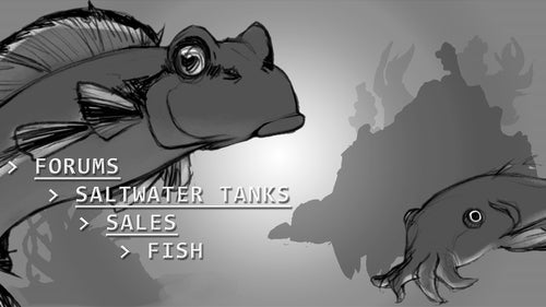 Comm-Link: ICHTH. TO SCRATCH - BP BLACK FRINGED STARRY FLOUNDER