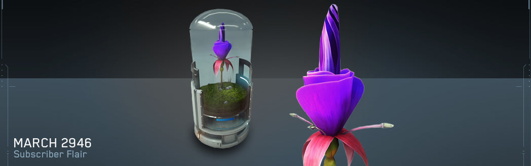 Tuserac Plena (Emperor Blossom) Plant (flair)