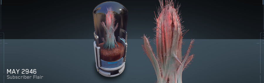 Cereus Rubra (Kavische) Plant (flair)