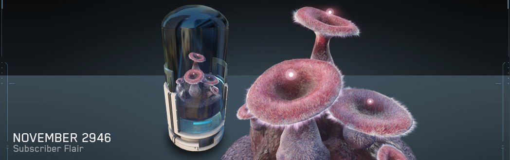 Pleurotus Cornusymphonia (Opera Mushroom) Plant (flair)