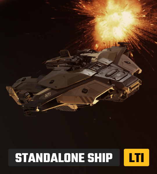 Paladin - Standalone Ship