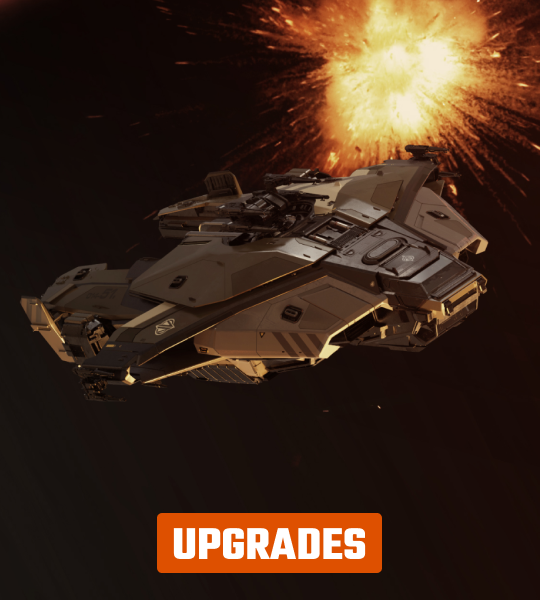 Need a new Paladin upgrade for your Star Citizen fleet? Get the best upgrades for the lowest prices! Our store offers the best security and the fastest deliveries. We have 24/7 customer support to ensure the highest quality services. Upgrade your Star Citizen fleet today!