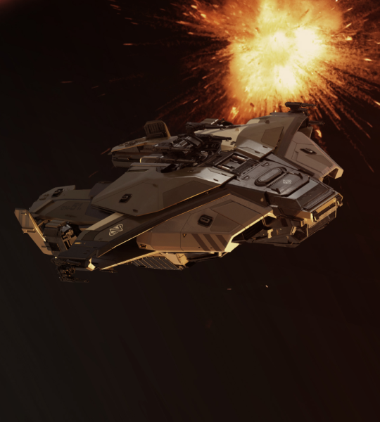 Paladin - Standalone Ship - Star Citizen - The Impound