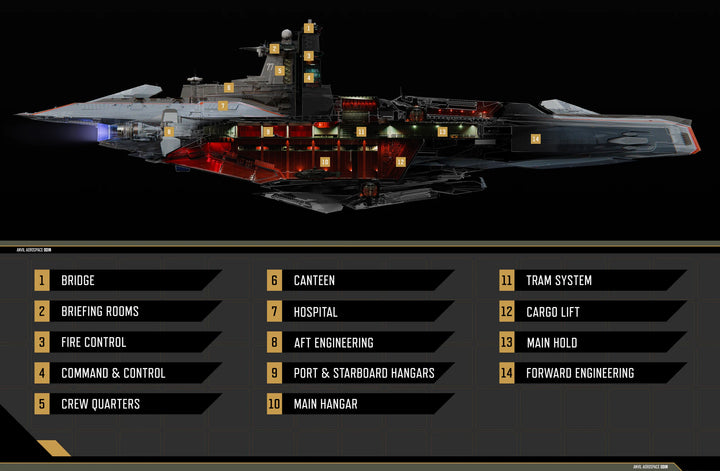Elite Star Citizen Account – Anvil Odin LTI & Aegis Idris-P LTI