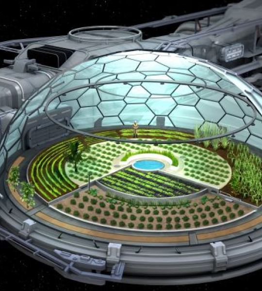 Endeavor Biodome Bay Pod - Star Citizen - The Impound