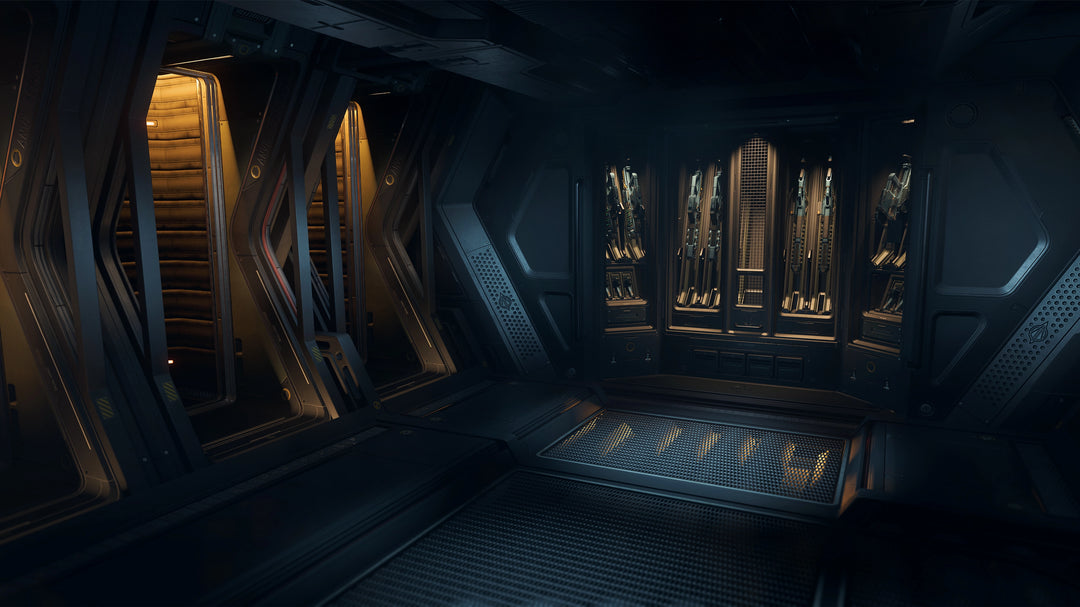Buy Paladin with LTI for Star Citizen