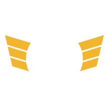 Squadron 42