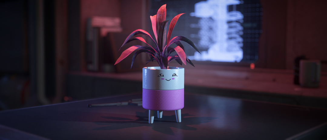 Buy Hello Sunshine Cheeky Planter for Star Citizen