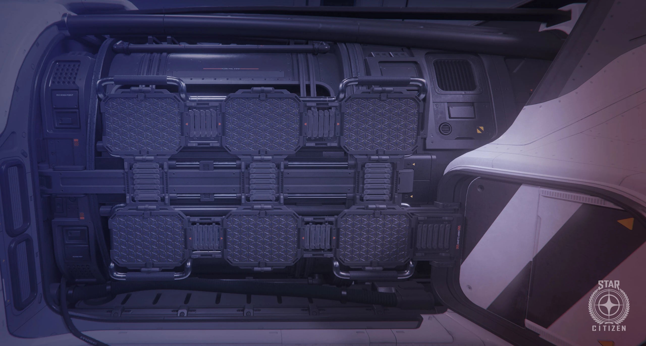 Fortune - cargo grid in Star Citizen