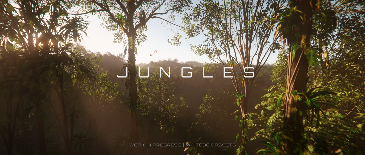 Sunlit jungle canopy with vines, hanging foliage and the title Jungles.